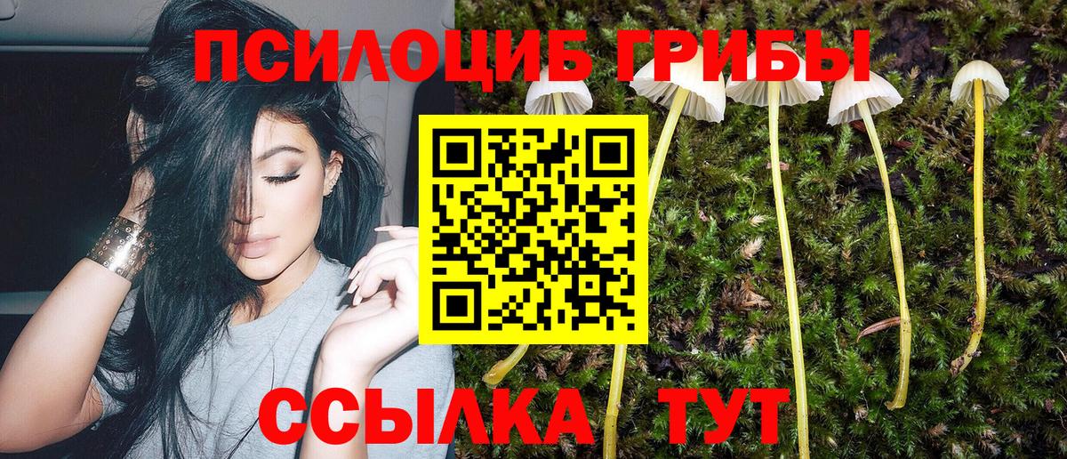 Галлюциногенные грибы Psilocybe  Вход с VPN  Галлюциногенные грибы Psilocybe  Шахты 