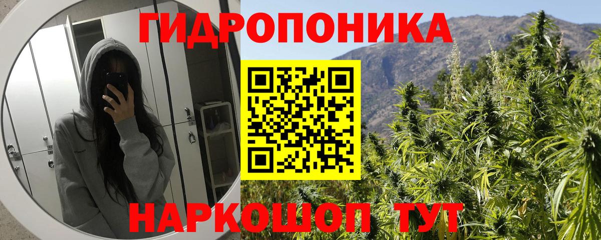 Бошки Шишки Ganja  Каннабис тримм  Шахты  Вход с VPN  Шишки марихуана Bruce Banner  Канабис планчик 